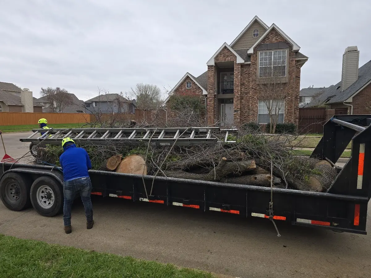 Expert Lot Clearing with proper safety equipment in Belle Rose